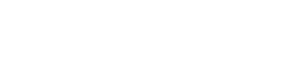 Ds v-line logo